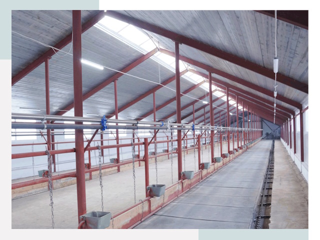 Строительство коровников в Кашире от 625 руб.