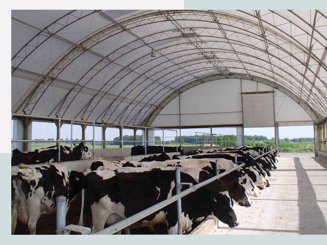 Тентовые коровники в Кашире